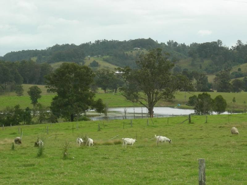 Dyers Crossing NSW 2429