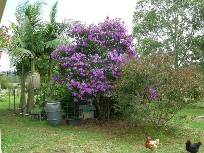 Dyers Crossing NSW 2429