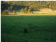 Hillville NSW 2430