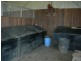 Karaak Flat NSW 2429