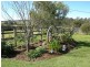 Karaak Flat NSW 2429