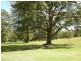 Failford NSW 2430