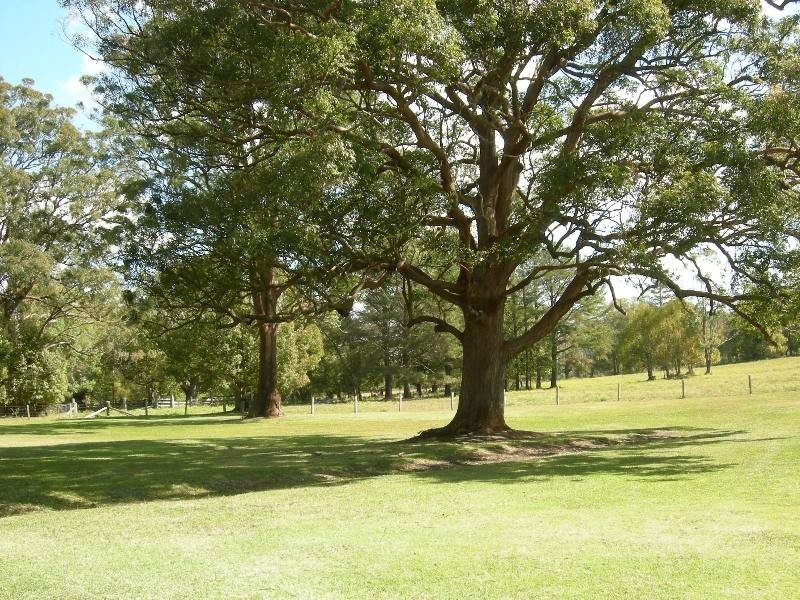 Failford NSW 2430