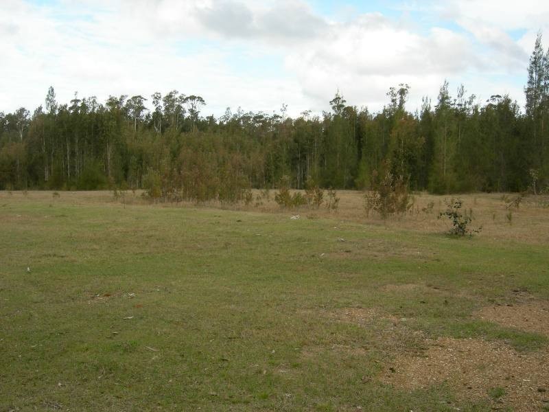 Nabiac NSW 2312