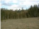 Nabiac NSW 2312