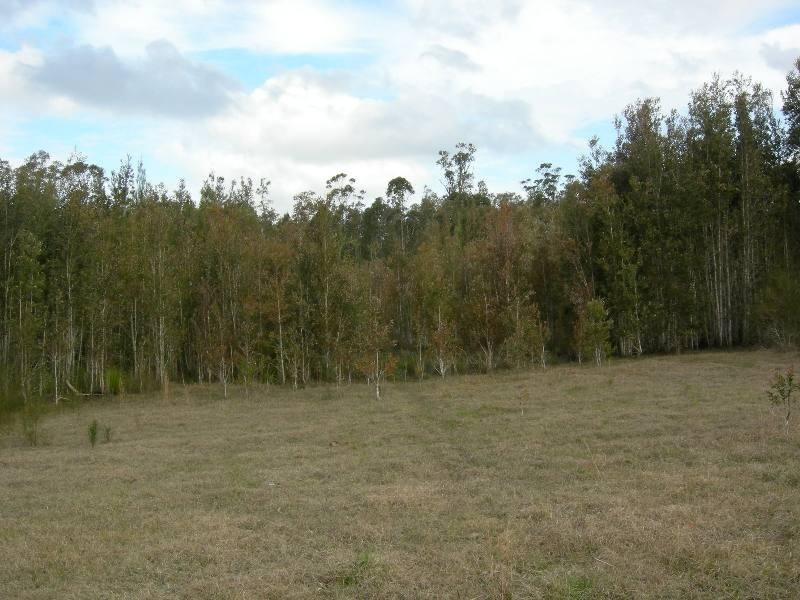 Nabiac NSW 2312