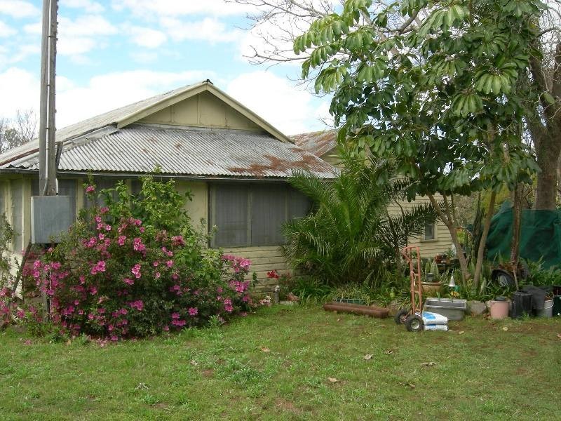 Firefly NSW 2429
