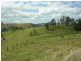 Firefly NSW 2429