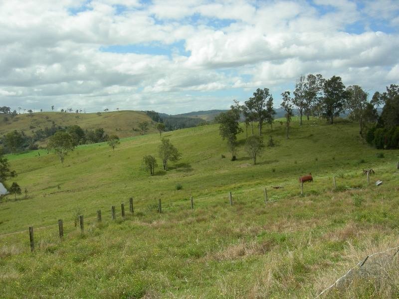 Firefly NSW 2429