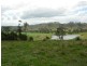 Firefly NSW 2429