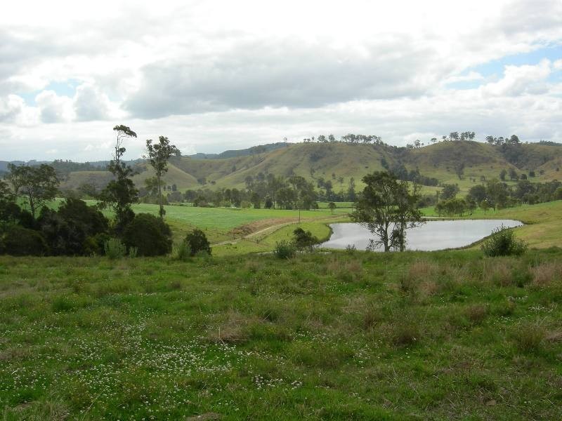 Firefly NSW 2429