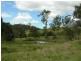 Firefly NSW 2429