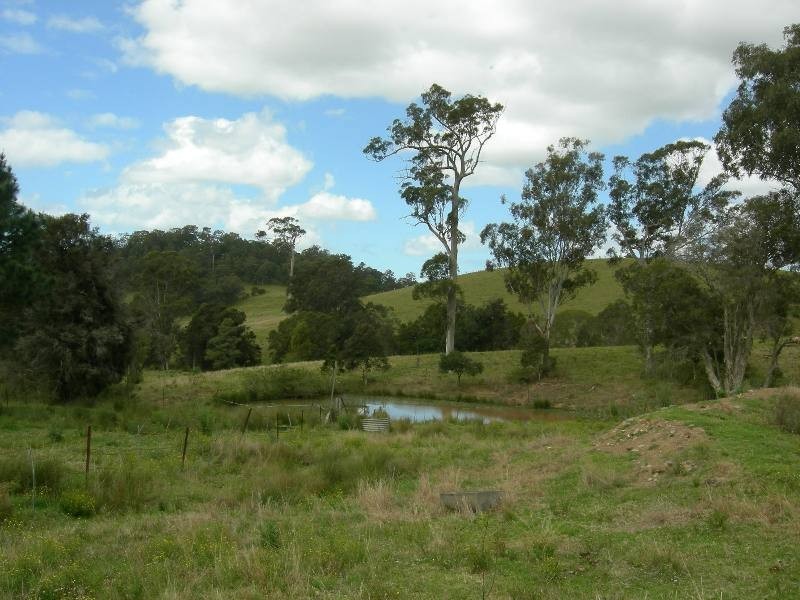Firefly NSW 2429