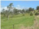 Firefly NSW 2429