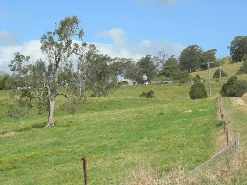 Firefly NSW 2429