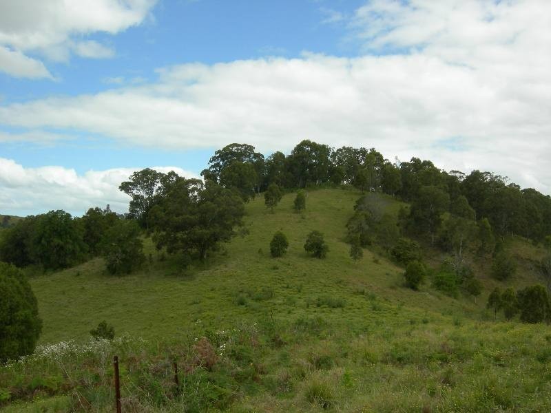 Firefly NSW 2429