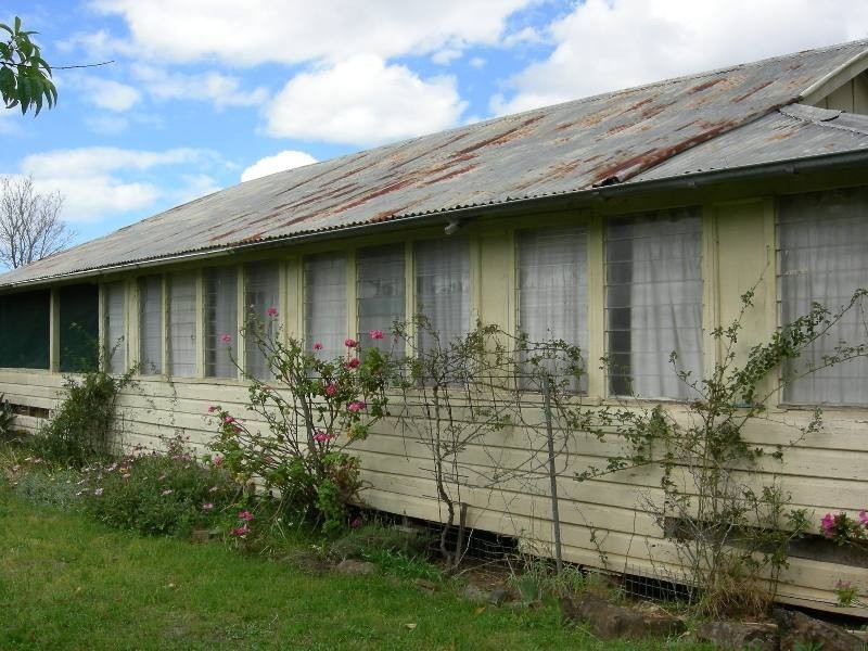 Firefly NSW 2429