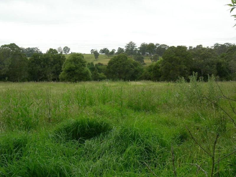 Burrell Creek NSW 2429