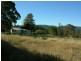 Krambach NSW 2429