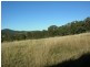 Krambach NSW 2429
