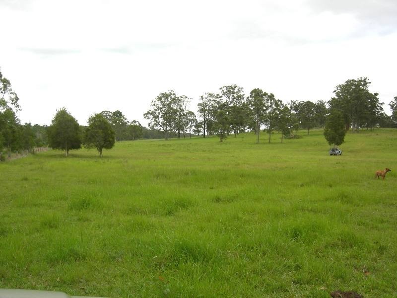 Burrell Creek NSW 2429