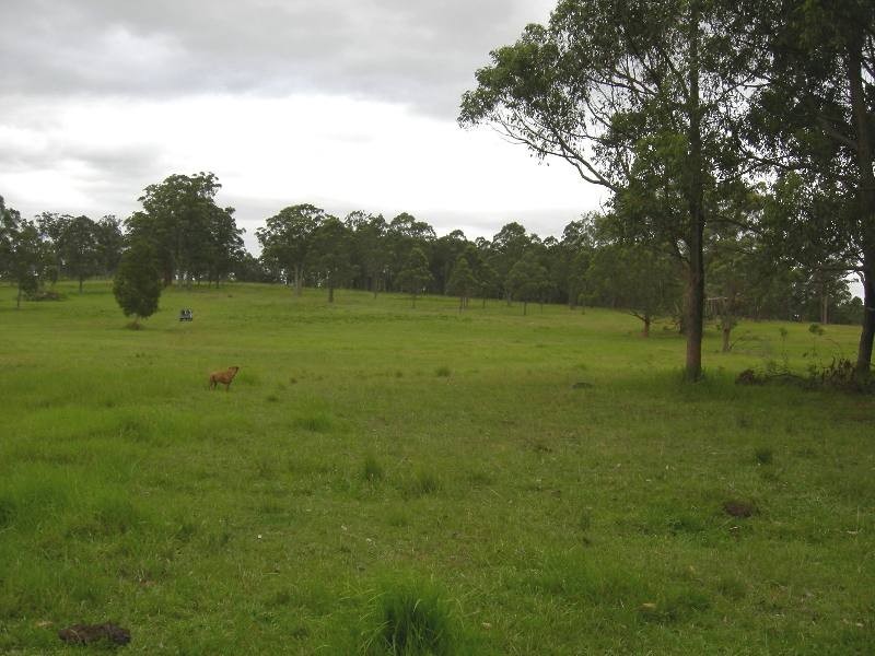 Burrell Creek NSW 2429