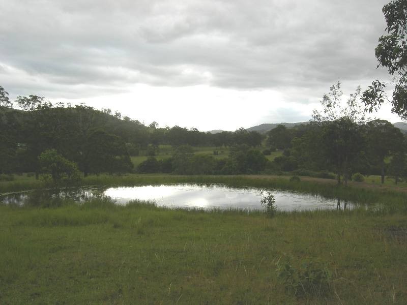 Burrell Creek NSW 2429