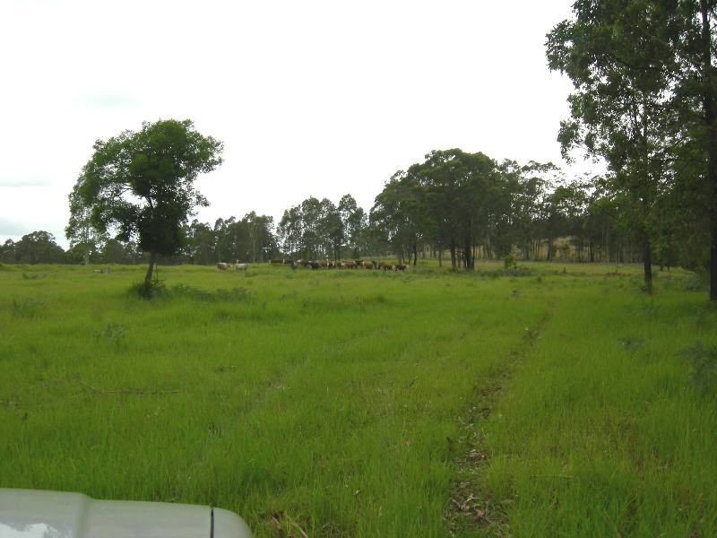 Burrell Creek NSW 2429