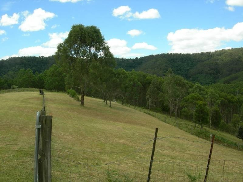 Tipperary NSW 2429