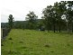 Krambach NSW 2429