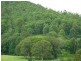Krambach NSW 2429