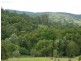 Krambach NSW 2429