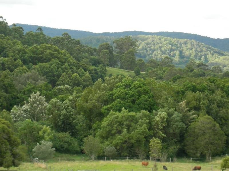 Krambach NSW 2429