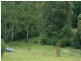 Krambach NSW 2429