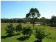 Burrell Creek NSW 2429