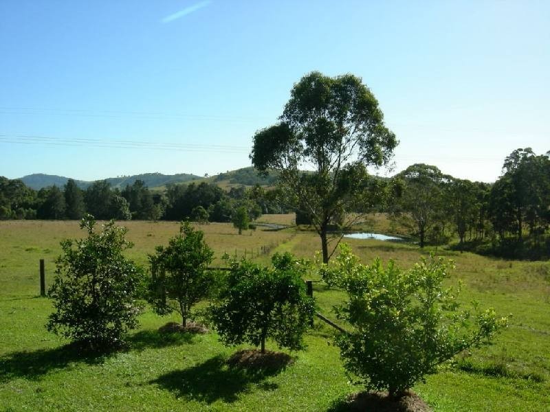 Burrell Creek NSW 2429