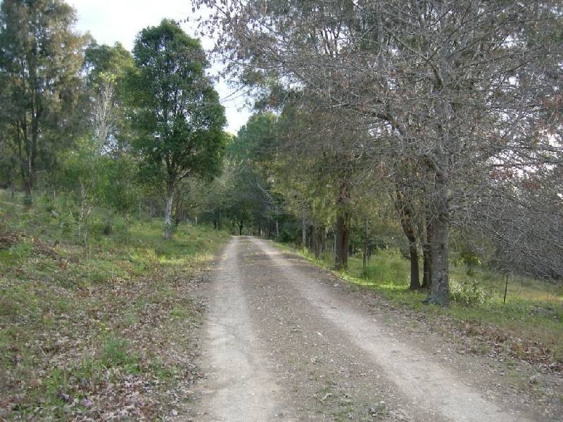 Bobin NSW 2429