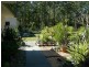 Darawank NSW 2428