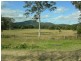 Krambach NSW 2429