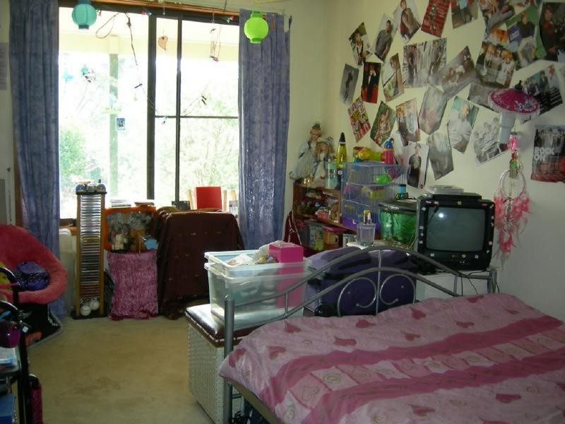 Belbora NSW 2422