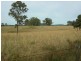 Nabiac NSW 2312
