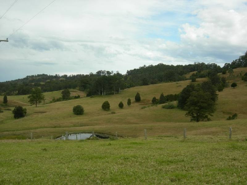 Krambach NSW 2429