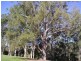 Tipperary NSW 2429