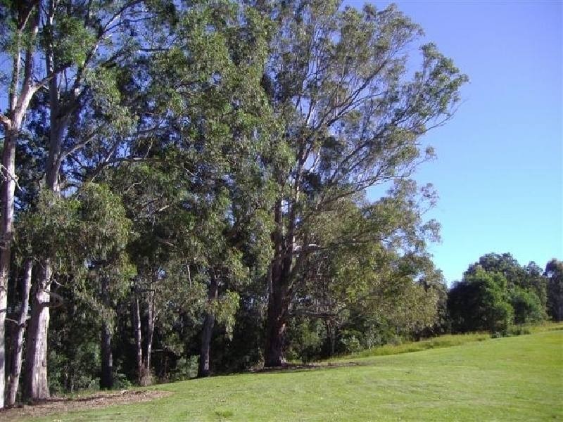 Tipperary NSW 2429