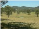 Kimbriki NSW 2429