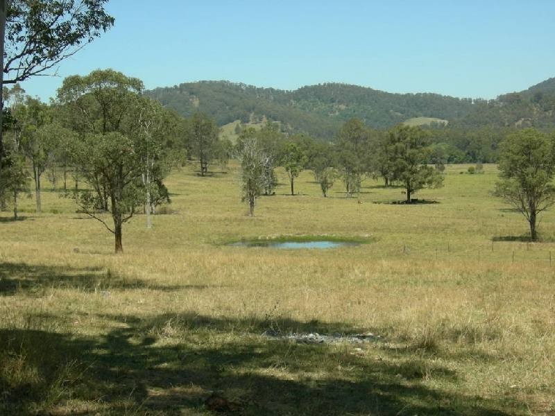 Kimbriki NSW 2429
