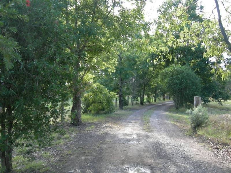 Kimbriki NSW 2429