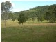Kimbriki NSW 2429
