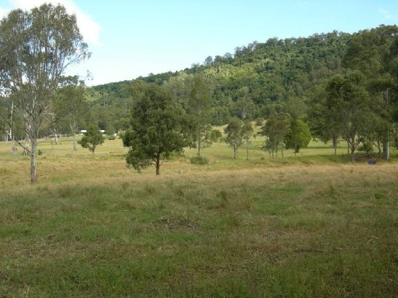 Kimbriki NSW 2429