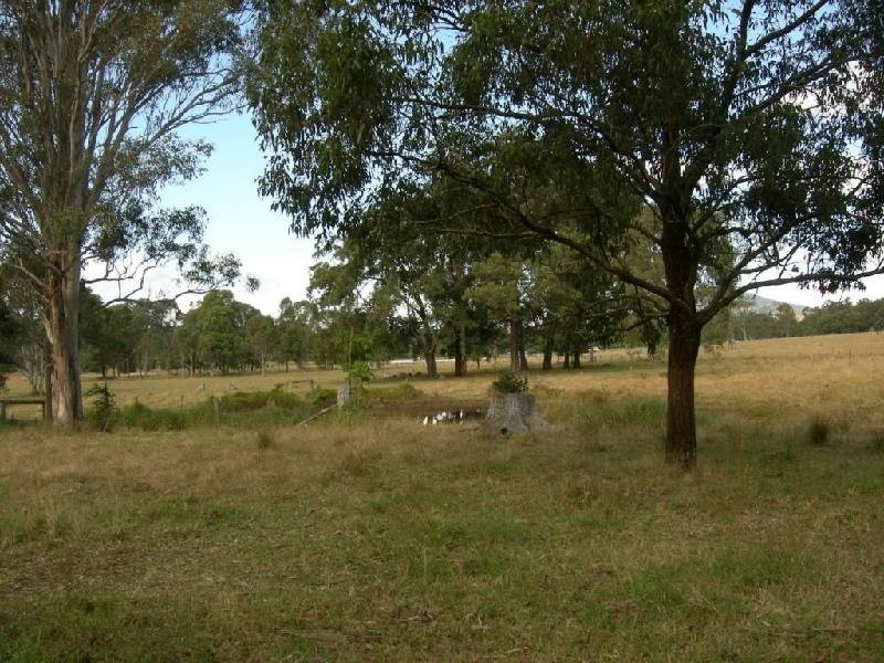 Kimbriki NSW 2429